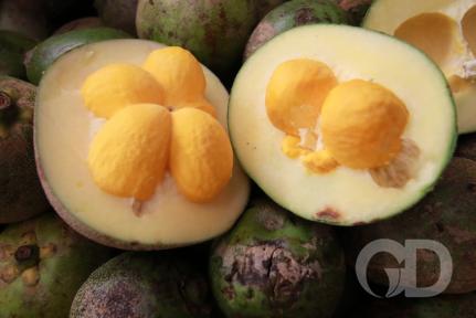 João Vieira 