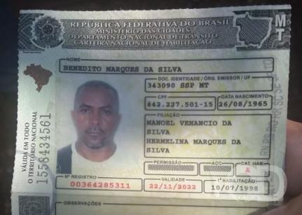 Divulgação