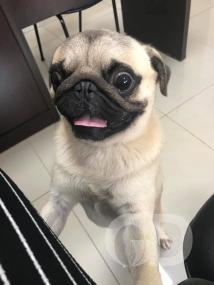 Reprodução/Facebook 