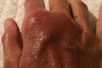 Daniela, Mordida, Atriz