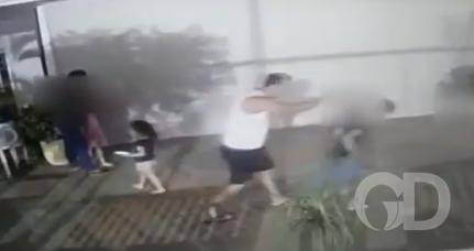 Reprodução