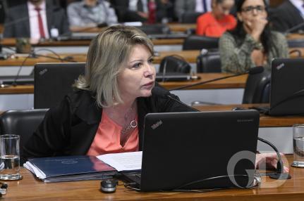 Roque de Sá/Agência Senado