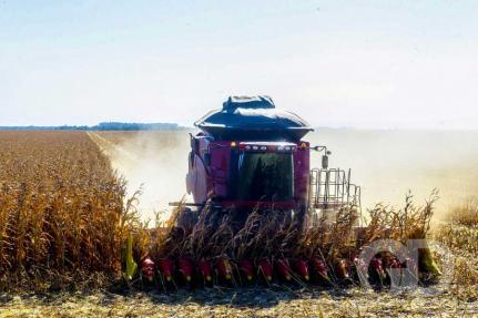 Gabriela Biló/Agência Estadão
