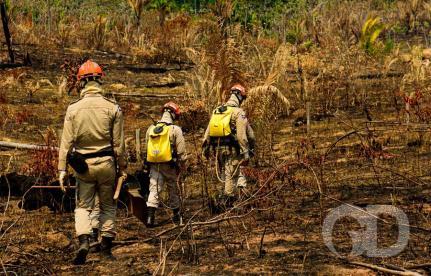 Marcos Vergueiro/Secom