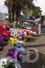 Flores Finados venda