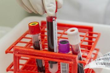 Hemocentro / Plaquetas / Sangue 