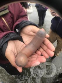 Kate Montana/Divulgação/Creative Commons