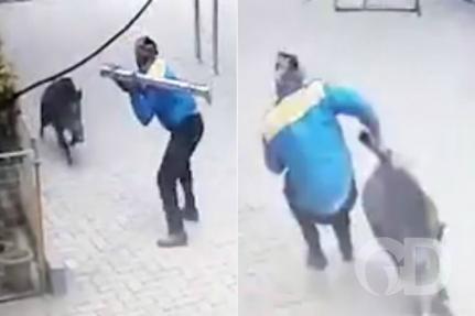 Reprodução/Vídeo/New York Post