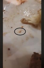 Reprodução Facebook