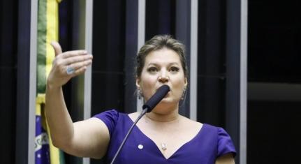 Luis Macedo/Câmara dos Deputados