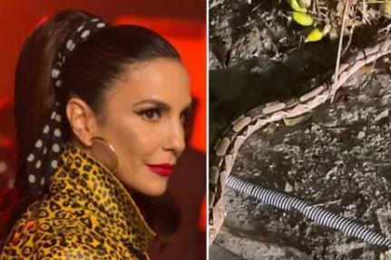 Reprodução/Instagram