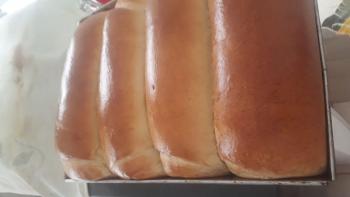 pao anna lopes renda