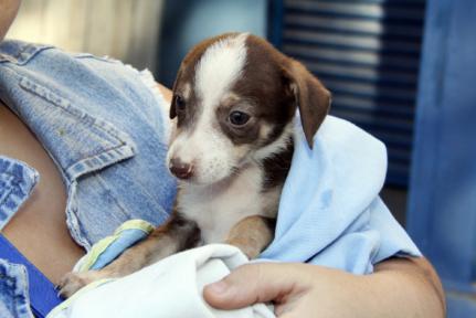 Prefeitura de Cuiabá