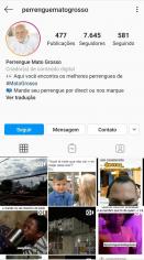 Perfil Perrengue Mato Grosso