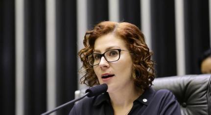 Michel Jesus/Câmara dos Deputados