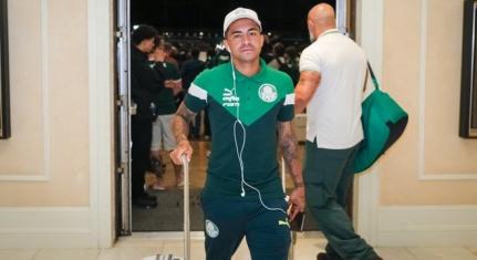 Igor Castro/Florida Cup