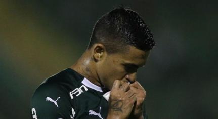 Divulgação Palmeiras