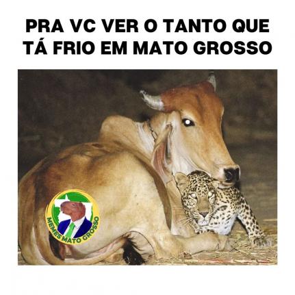 Reprodução/Facebook