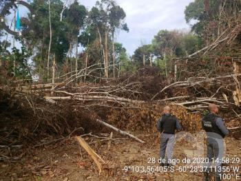 Apreens&atilde;o no distrito de Guariba