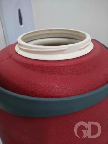 Denúncia Monique Thaise