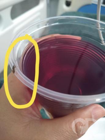 Denúncia Monique Thaise