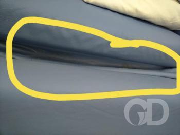 Denúncia Monique Thaise