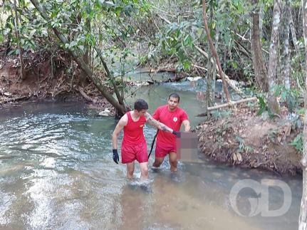 Reprodução/VisãoNotícias