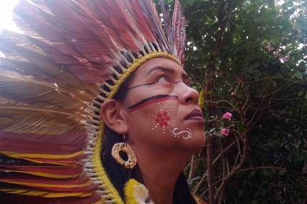 Reprodução/ Agência Senado