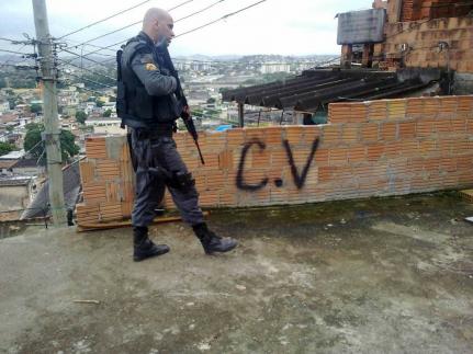 Divulgação