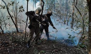 queimadas, inc&ecirc;ndio