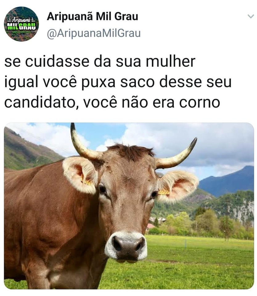 Meme 9