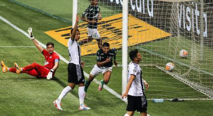 Marcelo Fim