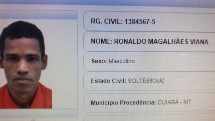Divulgação