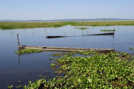 Marcos Vergueiro/ Secom