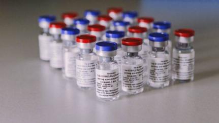 Divulgação/Gamaleya Center 