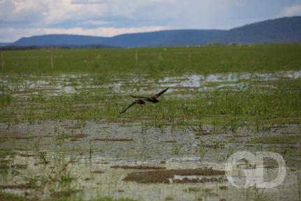 Christiano Antonucci/Secom-MT