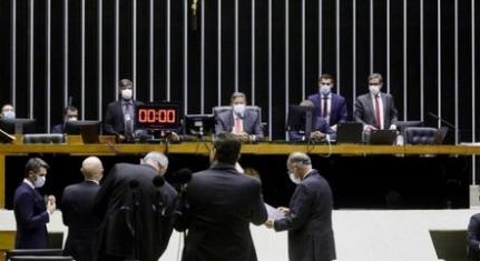 NAJARA ARAUJO/CÂMARA DOS DEPUTADOS-25/02/2021