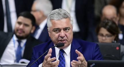 DIVULGAÇÃO/SENADO