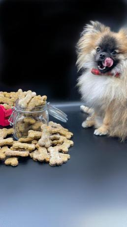 Biscoito pet