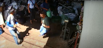 Reprodução
