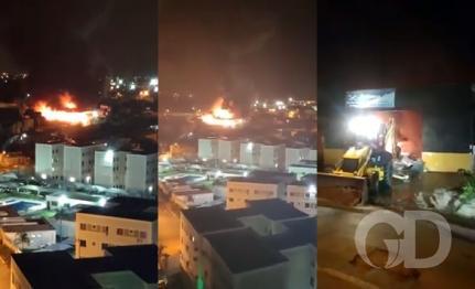 Reprodução