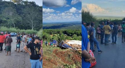 Reprodução