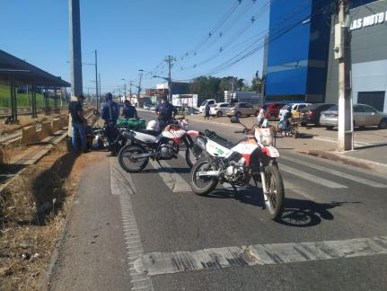 Reprodução