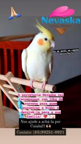 Reprodução