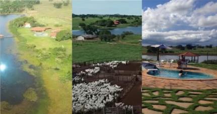 Reprodução/Montagem