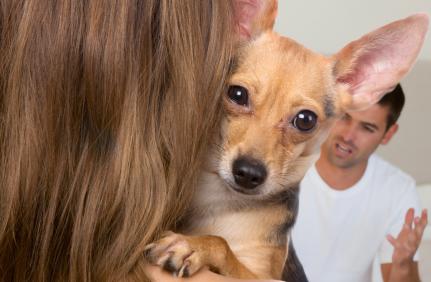 Reprodução/Portal Gama