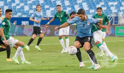 Chico Ferreira