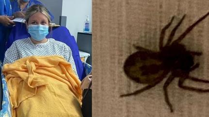 Foto: Reprodução/Daily Mail