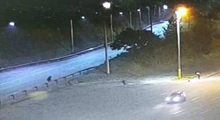 Foto: Divulgação/Agência Record