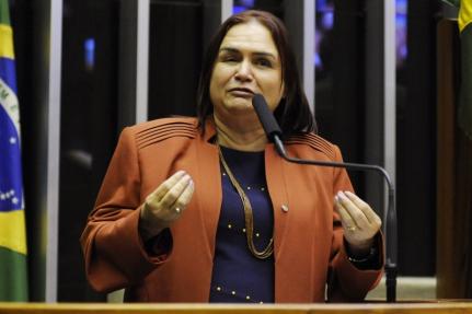 Luis Macedo/Câmara de Deputados
